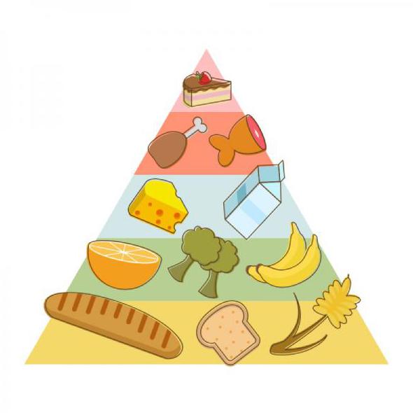 piramida żywienia kolorowanka dla dzieci 1b